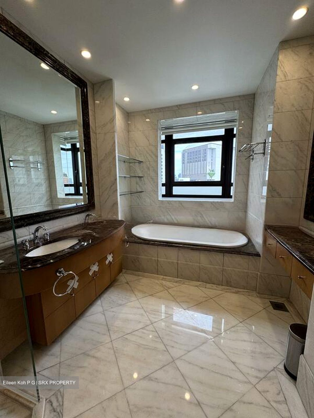 Ardmore Park (D10), Condominium #482281991